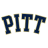 PITT Icon